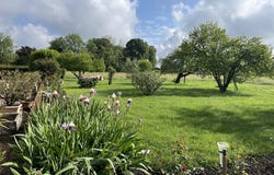 Tournus, Burgundy 71700