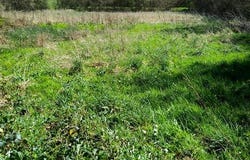 Plounerin, Bretagne 22780