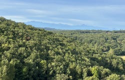 L'Isle-en-Dodon, Haute-Garonne 31230