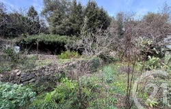 Occhiatana, Corsica 20226