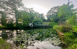 L'Isle-en-Dodon, Haute-Garonne 31230