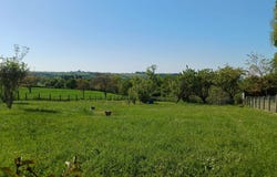 Cusset, Allier 03300