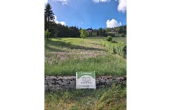 Bois-d'Amont, Jura 39220