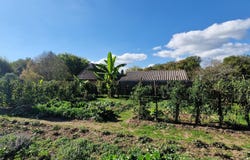 Le Bugue, Aquitaine 24260