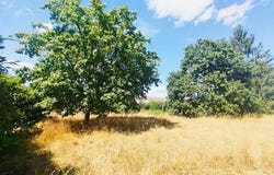 Sainte-Eanne, Poitou-Charentes 79800