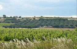 PEZENAS, Occitanie 34120