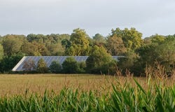 MIMBASTE, Nouvelle-Aquitaine 40350