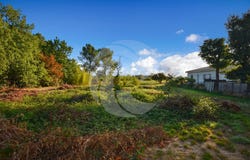Montauban, Midi-Pyrénées 82000
