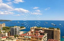 Monaco, Monaco 98000