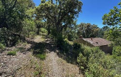 Pignans, Provence-Alpes-Côte d'Azur 83790