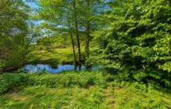Continvoir, Centre-Val de Loire 37340