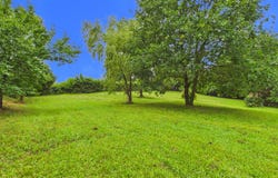 NASSIET, Nouvelle-Aquitaine 40330