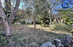 Céret, Languedoc-Roussillon 66400