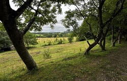 Saint-Cyr-la-Rosière, Orne 61130