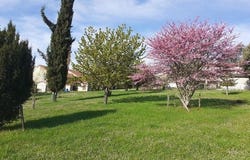 Jalogny, Bourgogne 71250