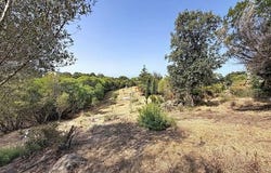Albitreccia, Corse 20166