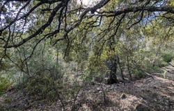 Carcès, Var 83570