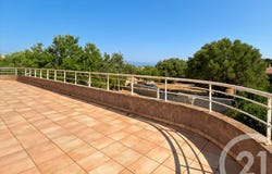 Monticello, Corsica 20220