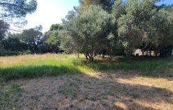 Le Pouget, Languedoc-Roussillon 34230