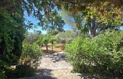 Aramon, Languedoc-Roussillon 30390