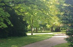 Faye-la-Vineuse, Centre 37120