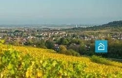 Eckwersheim, Bas-Rhin 67550