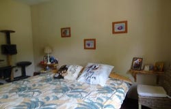 Chaudenay, Bourgogne 71150