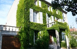 Mazerolles-du-Razès, Languedoc-Roussillon 11240