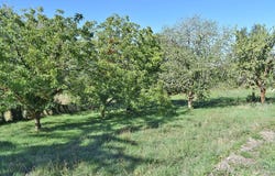 Archignac, Aquitaine 24590