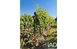 Puisseguin, Aquitaine 33570