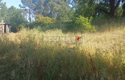 Graulhet, Tarn 81300