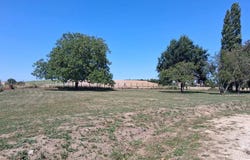 Racines, Aube 10130