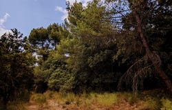 Moissac-Bellevue, Provence-Alpes-Côte d'Azur 83630