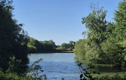 La Pellerine, Mayenne 53220