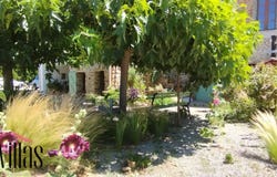 Camélas, Languedoc-Roussillon 66300