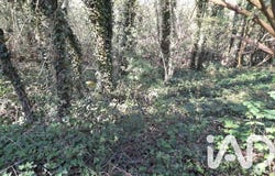 Warluis, Hauts-de-France 60430