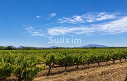 Grignan, Rhône-Alpes 26230