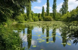 Continvoir, Centre-Val de Loire 37340