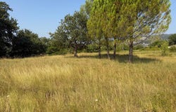 Saint-Martin-d'Ardèche, Auvergne-Rhône-Alpes 07700
