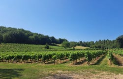 Pujols, Aquitaine 33350