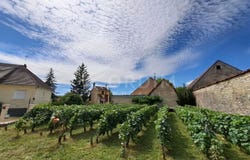 Vermenton, Burgundy 89270