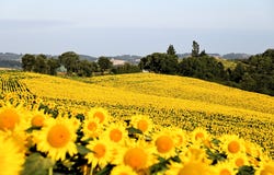 Saramon, Midi-Pyrénées 32450