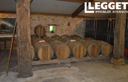 Sainte-Gemme, Nouvelle-Aquitaine 33580