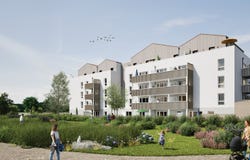 MONTAIGU, Pays de la Loire 85600