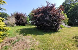 Trégunc, Finistère 29910