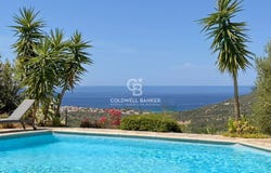 Monticello, Corsica 20220