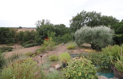 Bellegarde, Tarn 81430