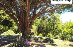Lesquerde, Languedoc-Roussillon 66220