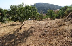 Pila-Canale, Corsica 20123