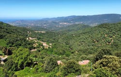 Sollacaro, Corse-du-Sud 20140